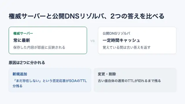 常に最新の値を持つ権威サーバーと一定時間キャッシュを保持する公開DNSリゾルバを比較し、新規追加は、否定応答のキャッシュ、変更・削除は、通常のTTLが原因になることを示す図