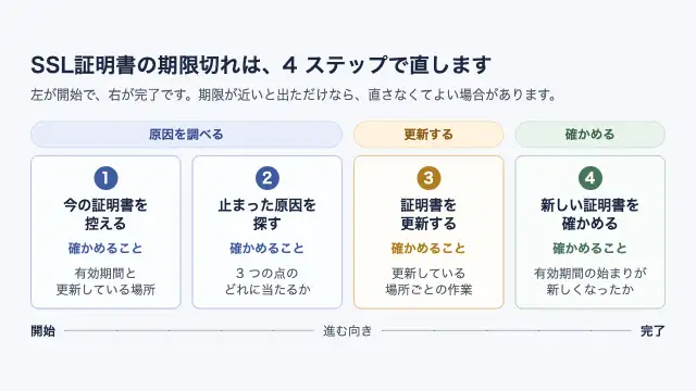 SSL証明書の期限切れを直す4つのステップを左から右へ並べ、各ステップで確かめること(有効期間と更新している場所・自動更新が止まった3つの点・更新・新しい証明書に替わったか)を示した図