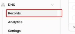 左のメニュー。DNS の下にある Records が赤枠で示され、Analytics と Settings が続く
